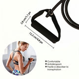 Bandes de fitness avec poignées, pour musculation à domicile